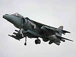 harrier